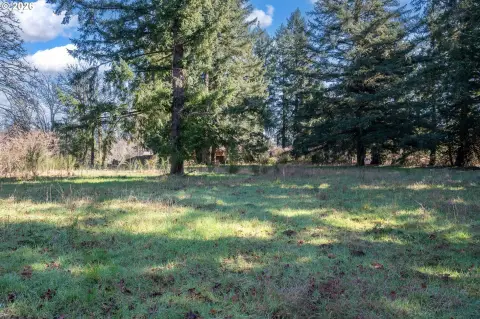 Willamette River View Homesite