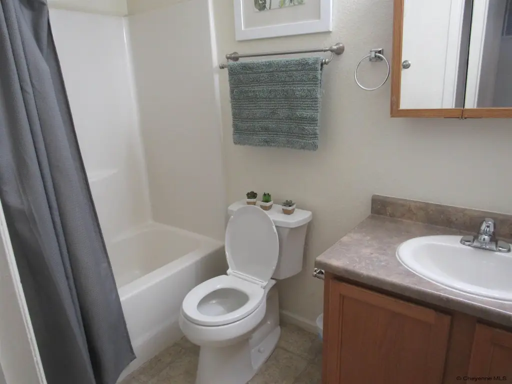 Picture 11