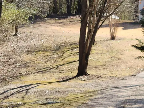 Residential Land in Athens, TN