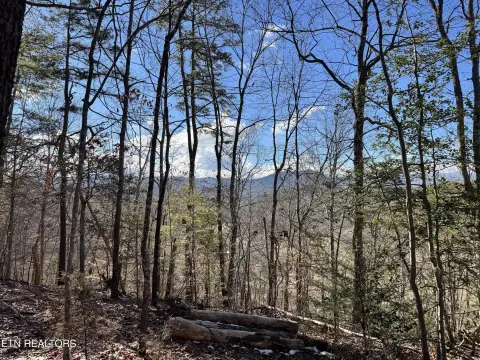 Cosby TN Land For Sale