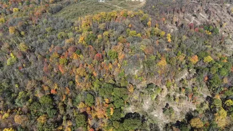 Vacant Land in New Florence