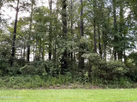 Wooded Lot Near Albemarle Sound