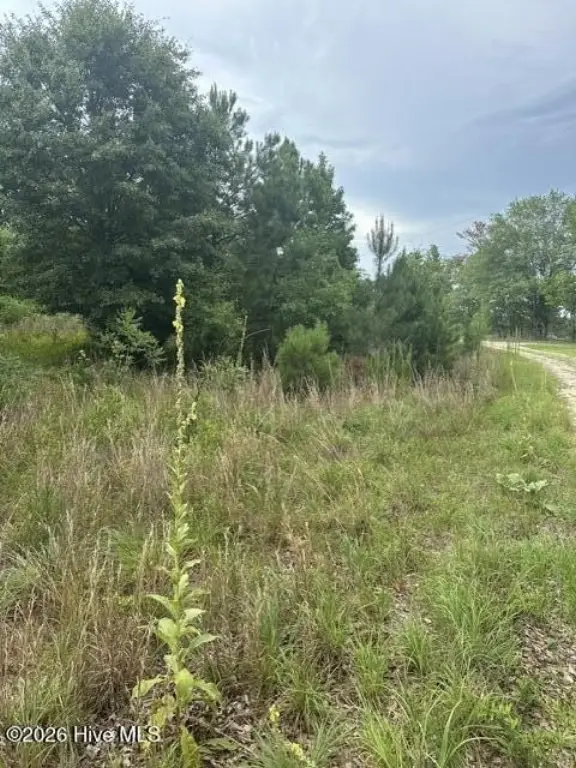 Picture 3