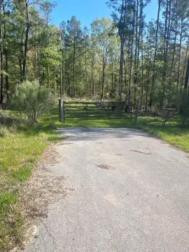 185 Acres Prime Pine Plantation