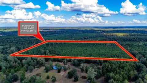 35 Acres Wooded Timber Tract