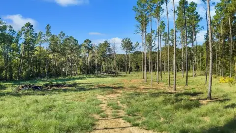 Residential Land in Nacogdoches, TX
