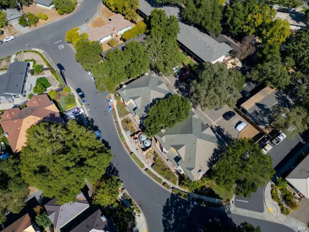Picture 41