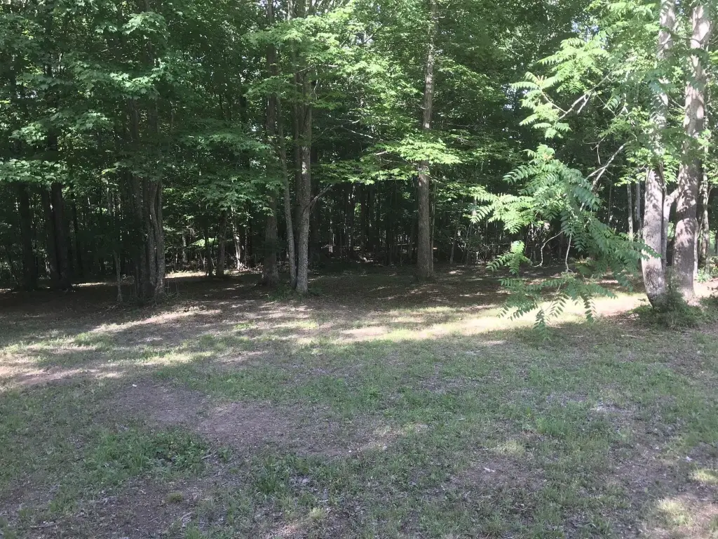 Picture 18