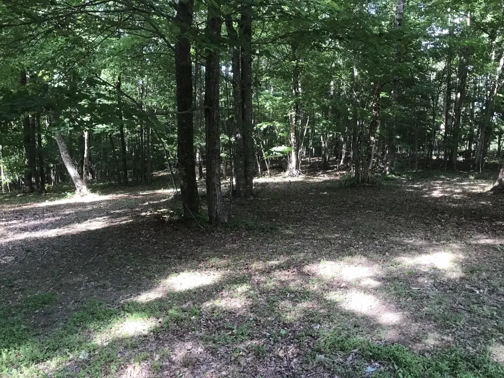 Picture 11