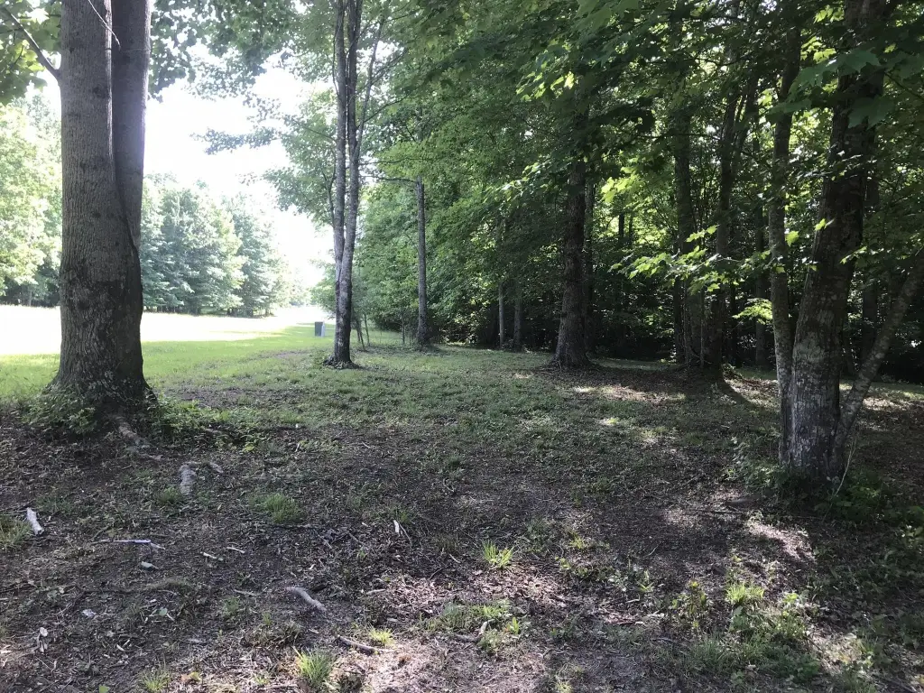 Picture 16