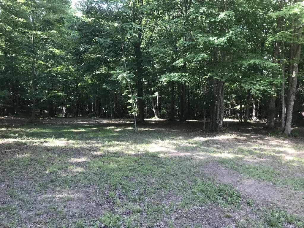 Picture 17