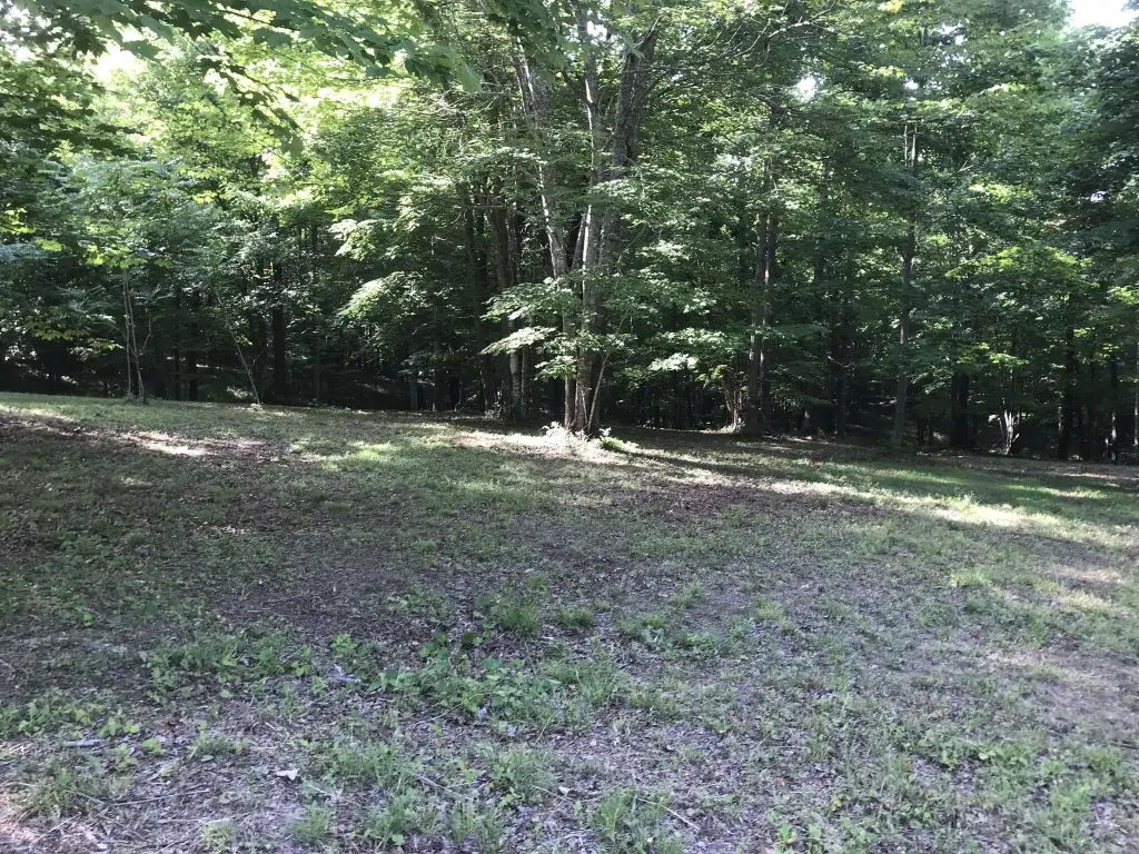 Picture 13