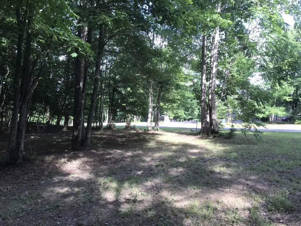 Picture 7