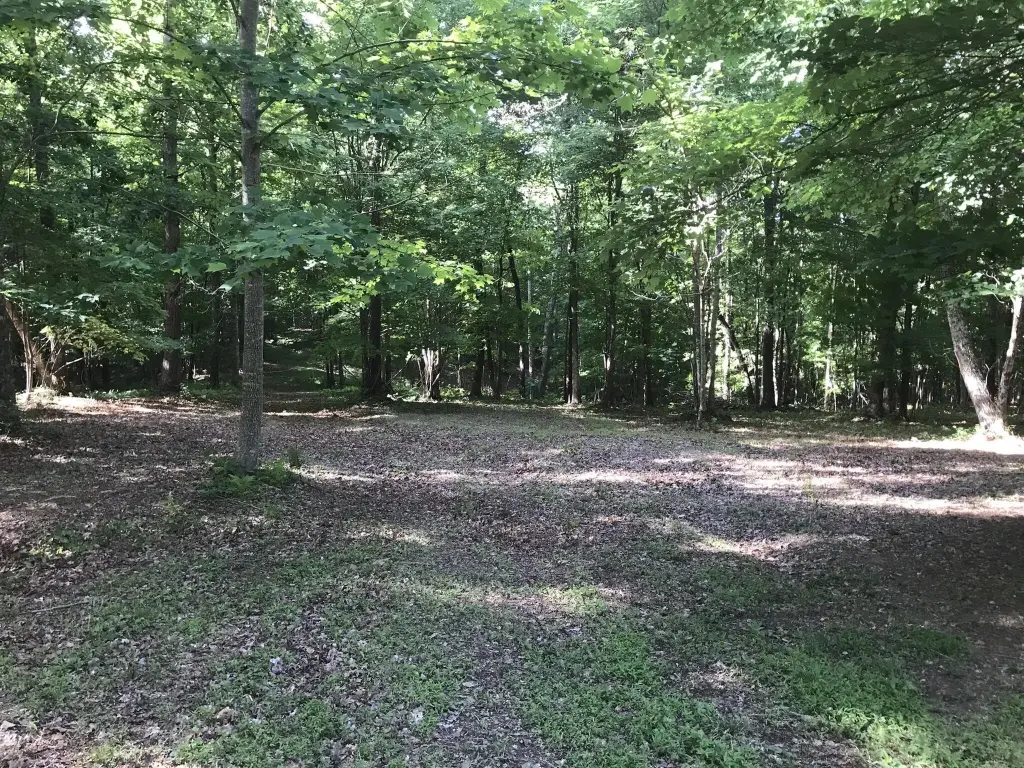 Picture 14