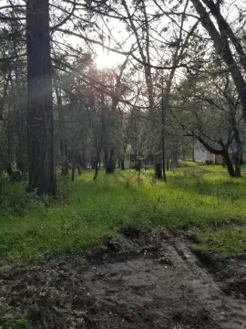 Oakhurst Land with New Well