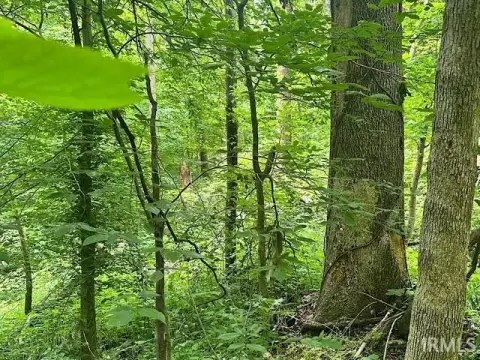 Residential Land in Amazon Shores