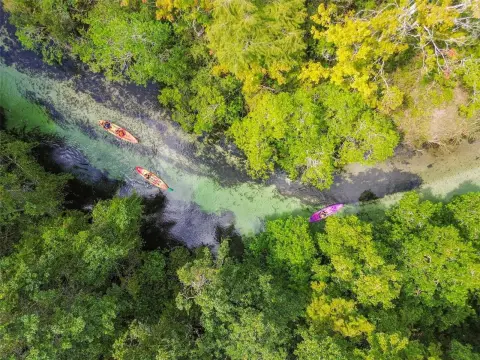 Residential Land Near Weeki Wachee
