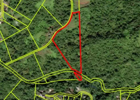 Agricultural Land in Mayaguez, PR