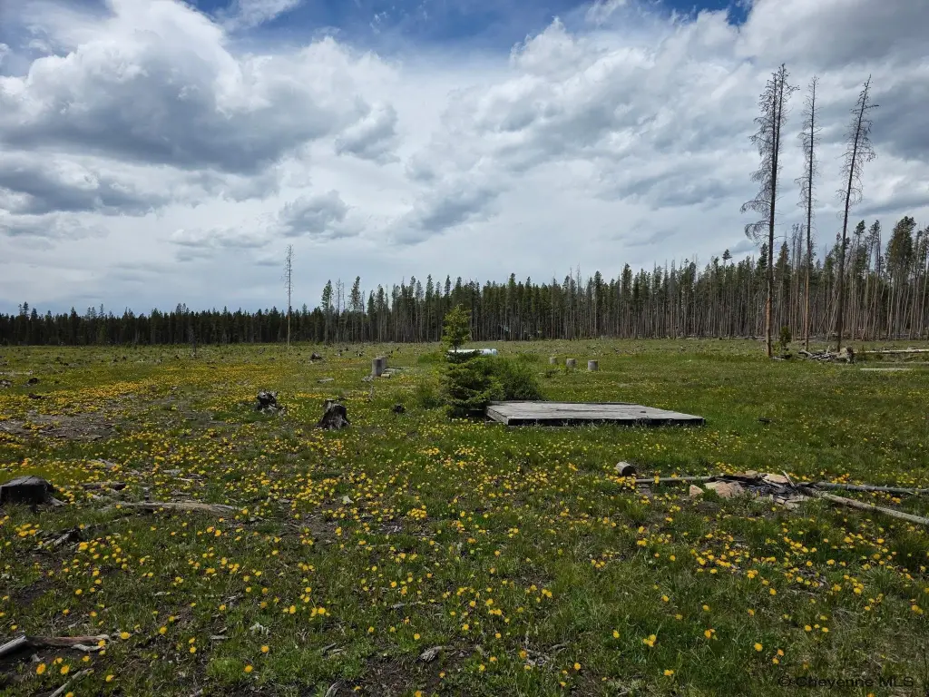 Picture 4