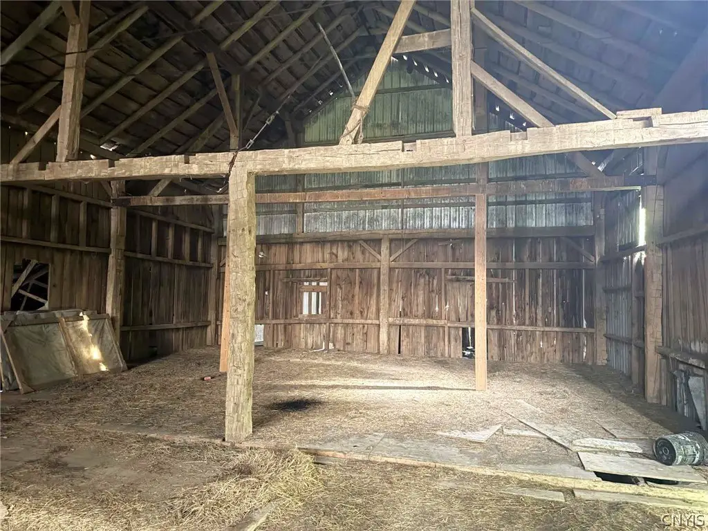 Picture 21