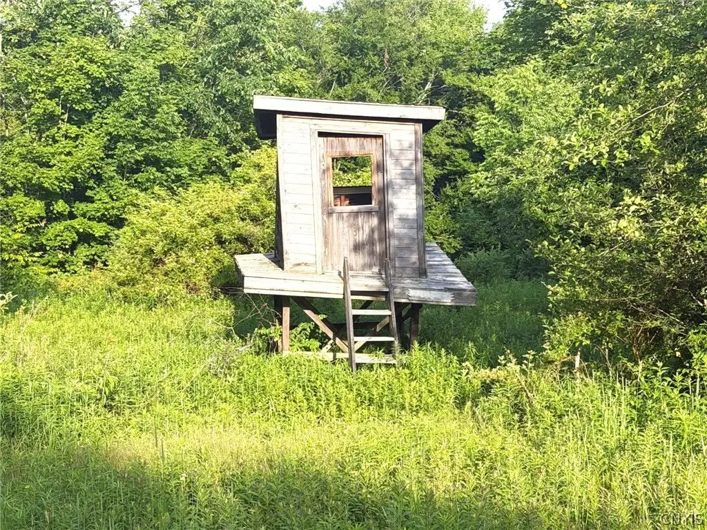 Picture 36
