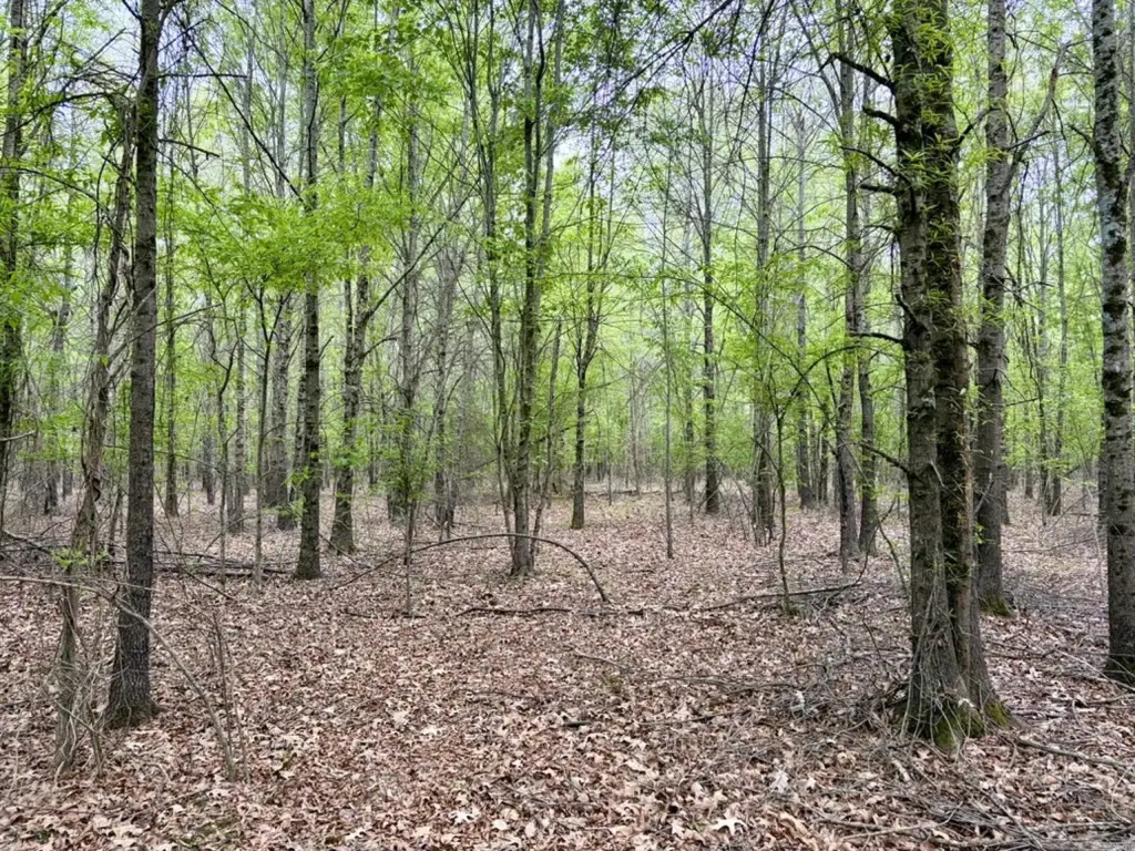 Picture 34