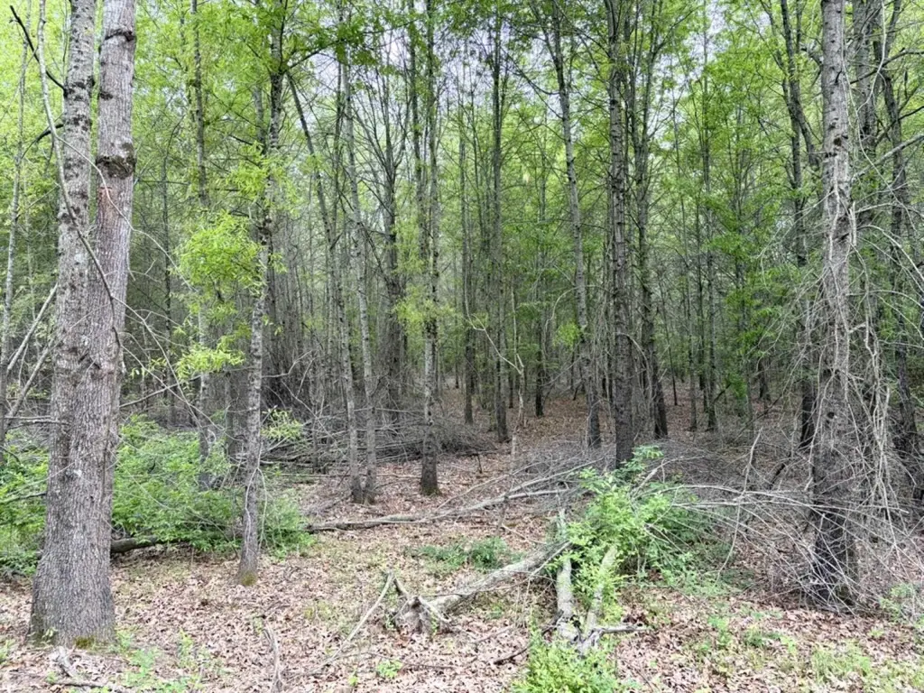 Picture 23