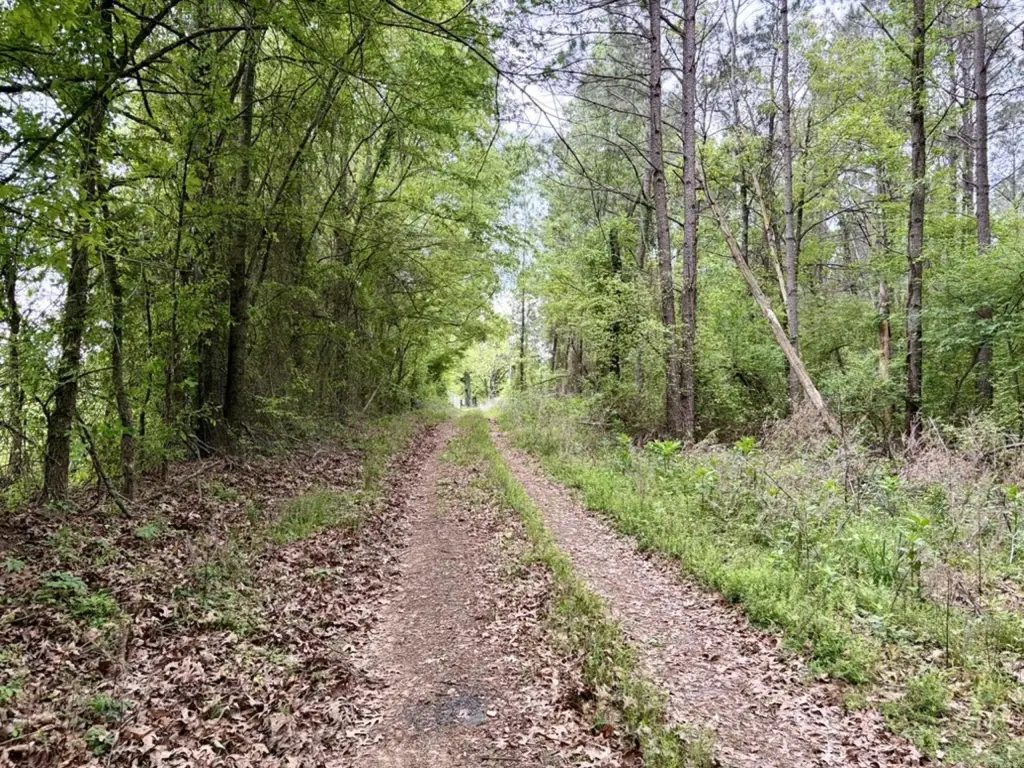Picture 21