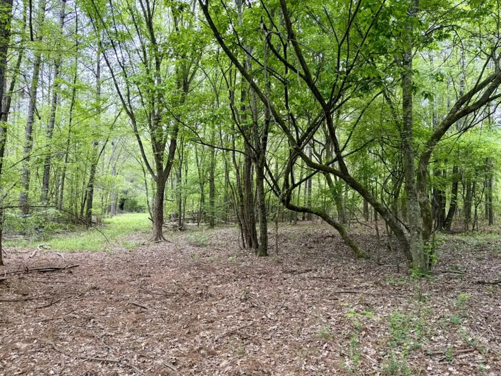 Picture 23