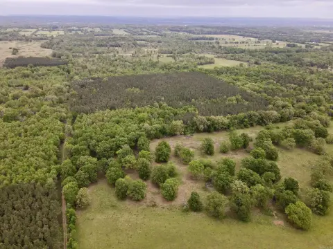 Hunting Land with Trail System