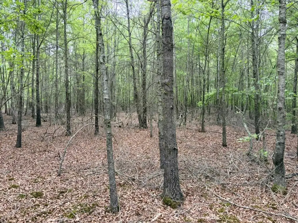 Picture 30
