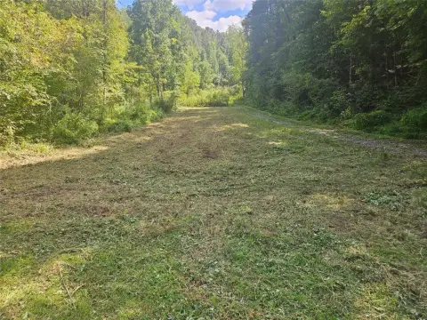 24+ Acre Mountain Escape