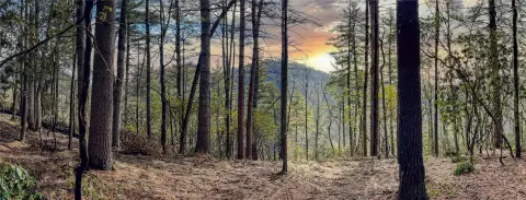 Land with Mountain Views