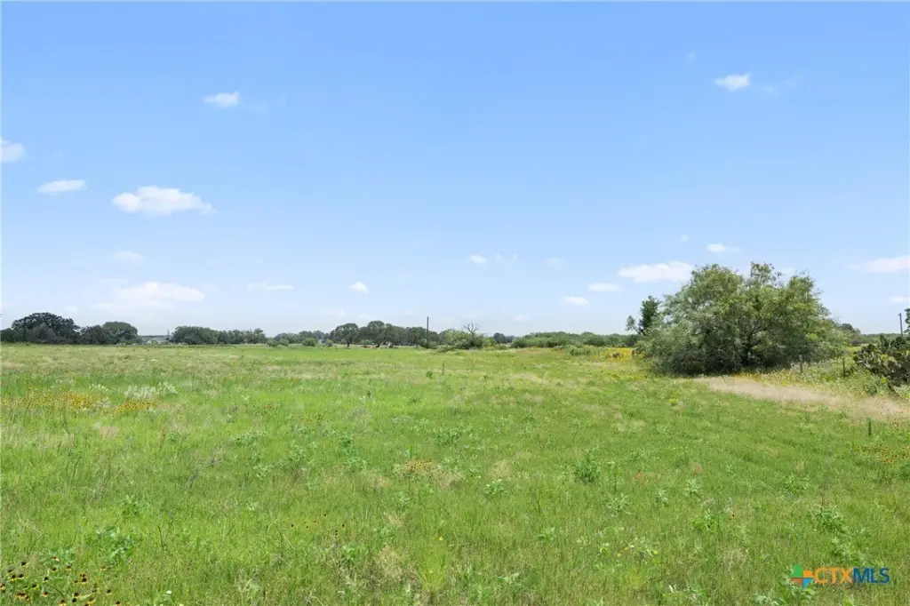 Picture 10