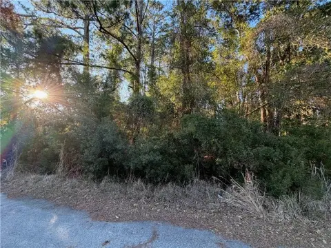 Buildable Wooded Lot in Brunswick