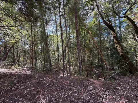 Sloped Land Parcel