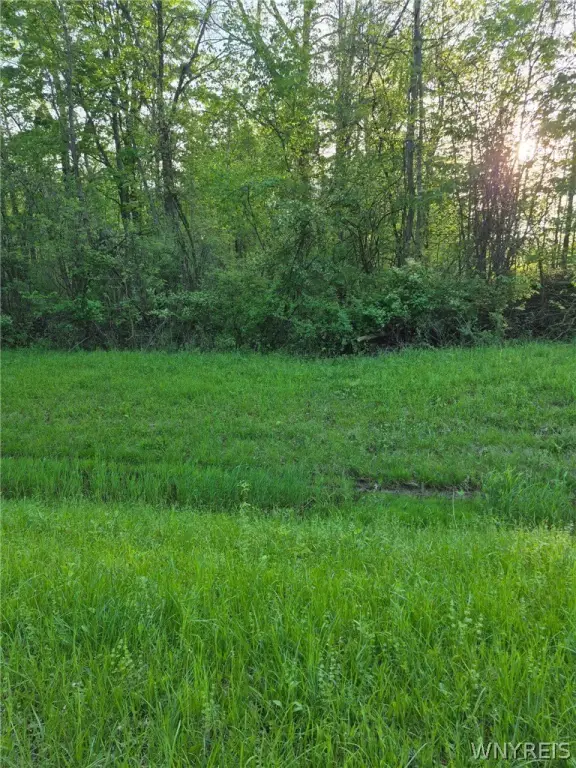 Picture 6