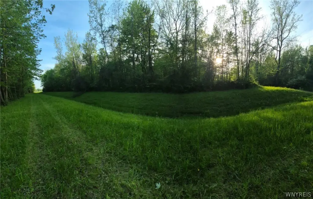 Picture 4