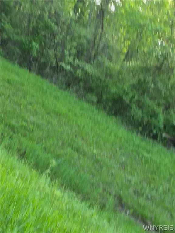 Picture 5