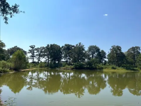 100-Acre Pasture Farm