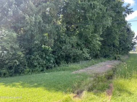 Wooded Lot Near Albemarle Sound