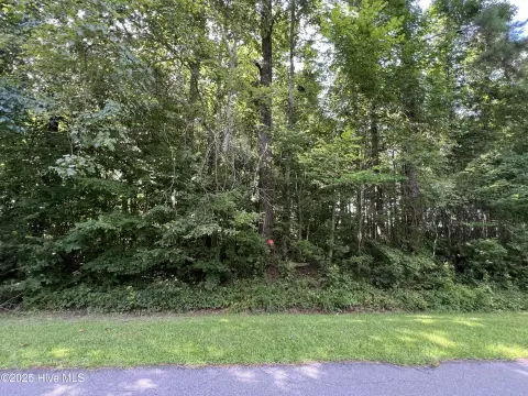 Wooded Lot Near Albemarle Sound