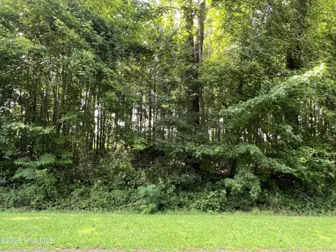 Wooded Lot Near Albemarle Sound