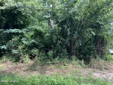Wooded Lot Near Albemarle Sound