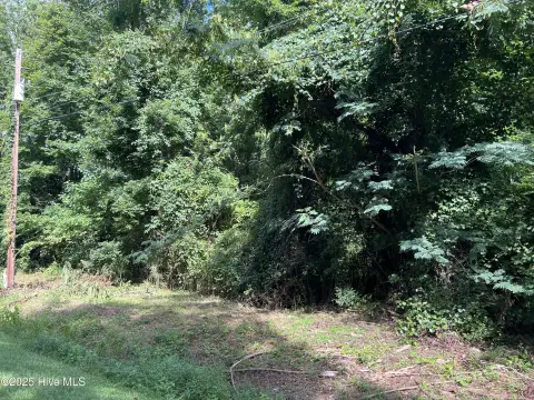 Wooded Lot Near Albemarle Sound