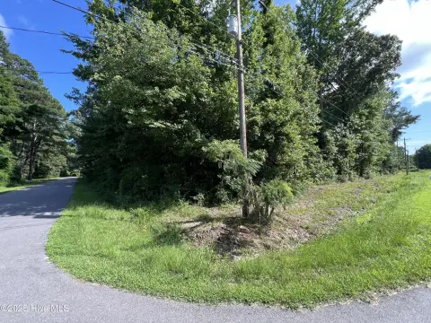 Wooded Lot Near Albemarle Sound