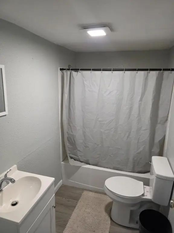 Picture 17