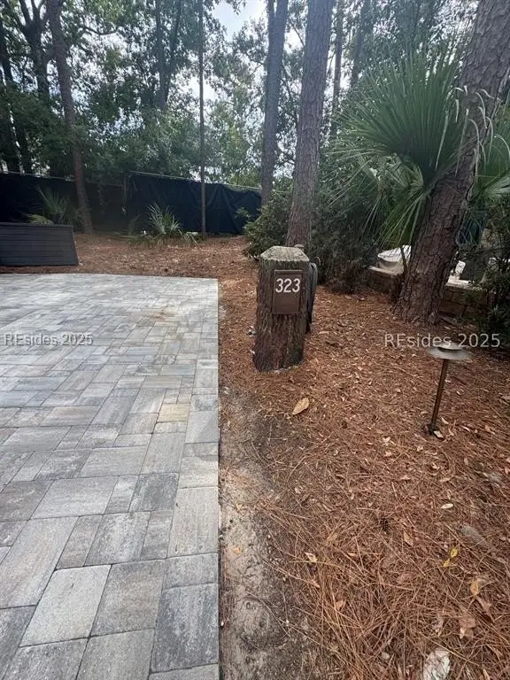 Picture 5