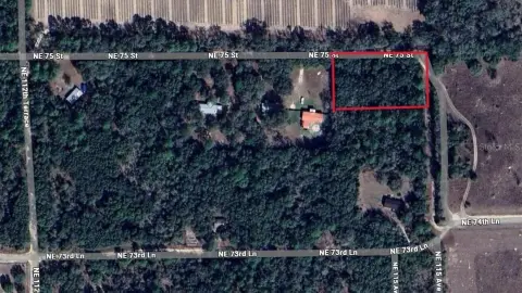 Picture of Land at NE 75Th St 75, Williston, FL