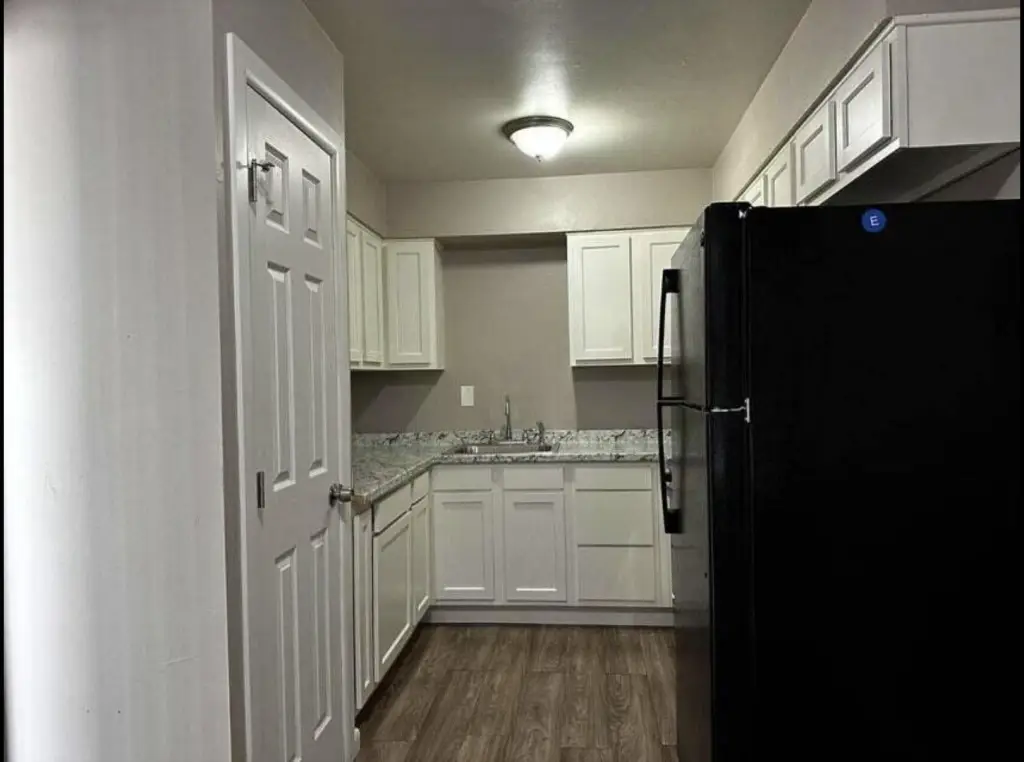 Picture 4